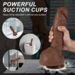 10.2inch Clar Brown Realistic Dildo Real Skin Dual Density Silicone Dildos with Strong Suction Cup for Hands-Free Play - Image 4