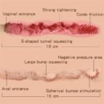 57.32LB Darcy Female Torso Big Butt Sex Doll Torso Realistic Big Butt Masturbator - Image 6