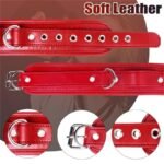 Hotsvibe BDSM Anal Hook Sex Bondage Restraint Set with Leather Chain Leash Collar Stainless Steel Anal Trainer - Image 2