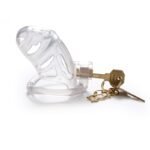 Hotsvibe Male Chastity Cage with 3 Sizes Rings and Invisible Lock Lightweight Chastity Devices - Image 9