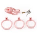 Hotsvibe Sex Toys Male Chastity Cages with 3 Different Sized Rings & 2 Keys Penis Cage Used to Restrain Men's Penises - Image 3