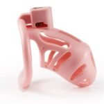 Hotsvibe Sex Toys Male Chastity Cages with 3 Different Sized Rings & 2 Keys Penis Cage Used to Restrain Men's Penises - Image 4