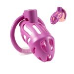 Hotsvibe Sex Toys Male Chastity Cages with 3 Different Sized Rings & 2 Keys Penis Cage Used to Restrain Men's Penises - Image 9