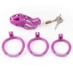 Hotsvibe Sex Toys Male Chastity Cages with 3 Different Sized Rings & 2 Keys Penis Cage Used to Restrain Men's Penises - Image 10