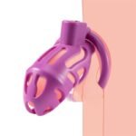 Hotsvibe Sex Toys Male Chastity Cages with 3 Different Sized Rings & 2 Keys Penis Cage Used to Restrain Men's Penises - Image 14