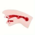 Realistic Mouth Pocket Pussy Deep Male Masturbator with Soft Teeth Tongue Lifelike Blowjob Machines - Image 4