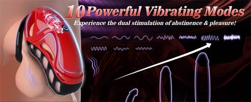 Trapped Dragon Vibrating Chastity Cage with 10 Vibrations, App & Remote Control Chastity Device with 5 Rings 2 Keys