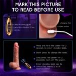 8.4 Inch Thrusting Dildo Vibrator Sex Toys with 8 Thrusting 10 Vibrating & Heating Modes Realistic Silicone Dildos - Image 6