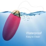 Egg Vibrator with Remote Control Soft Silicone Bullet Vibrator with 10 Vibrations for G spot Clit Stimulation - Image 4