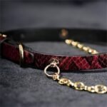 Hotsvibe Red Snakeskin Leather Choker Necklace with Gold Chain, Gothic Punk Adjustable Women’s Collar - Image 4