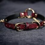 Hotsvibe Red Snakeskin Leather Choker Necklace with Gold Chain, Gothic Punk Adjustable Women’s Collar - Image 5