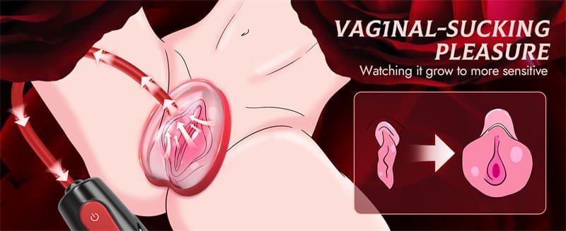 Nipple Sucking BDSM Toys Kit Electric Vacuum Vagina Sex Pump with 3 Suction Levels and 7 Modes