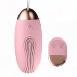 Pink G Spot Clitoral Vibrating Egg, Hotsvibe 10 Vibrations Bullet Vibrator with Remote Control for Couples
