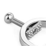 Hotsvibe Round Adjustable Stainless Steel Nipple Clamp Set Female SM Sex Toy Sensory Play - Image 4